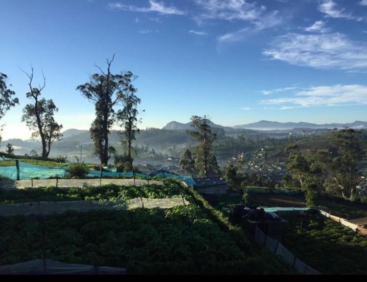 The Paulwood Home Cabin Nuwara Eliya Bagian luar foto