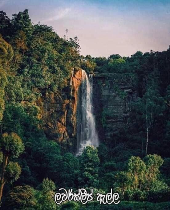 The Paulwood Home Cabin Nuwara Eliya Bagian luar foto
